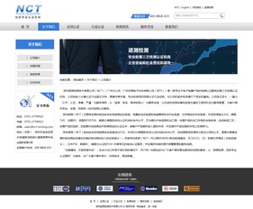 諾測(cè)檢測(cè) 專業(yè)網(wǎng)站建設(shè)與網(wǎng)絡(luò)技術(shù)服務(wù)，打造企業(yè)數(shù)字化門戶